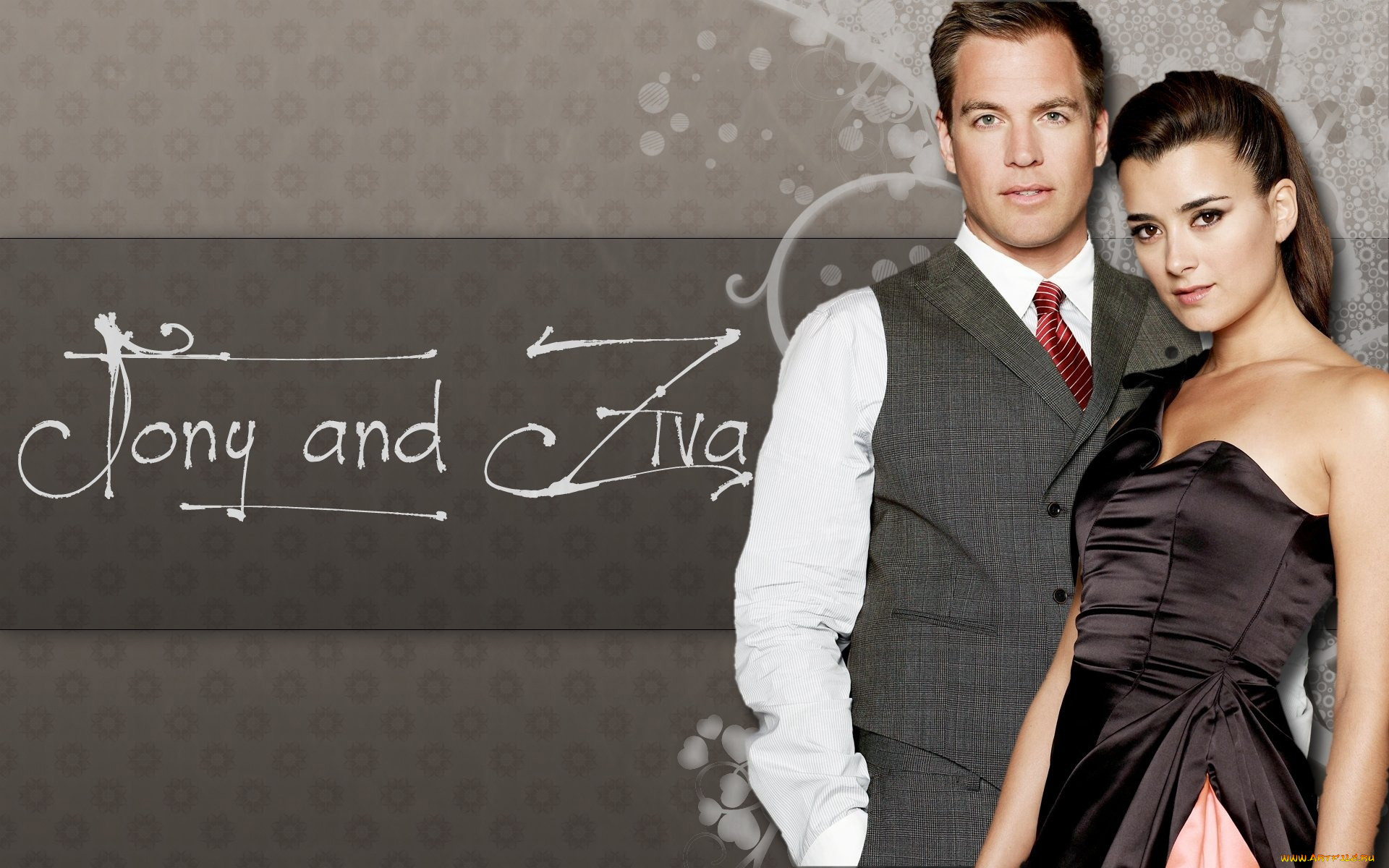  , ncis, cote, de, pablo, michael, weatherly